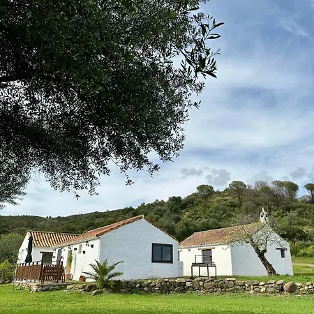 Santa Teresa, Casa Granada Estepona