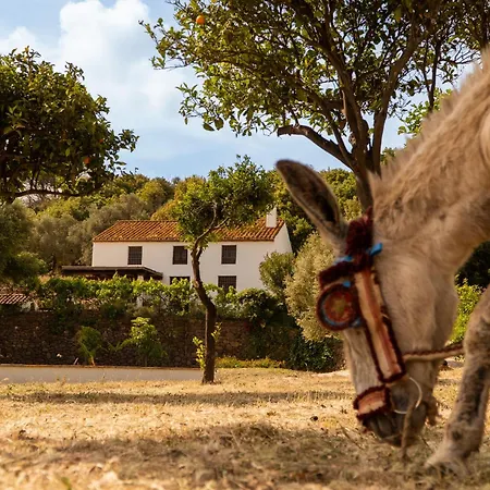 ホリデーパーク Santa Teresa, Casa Granada エステポナ