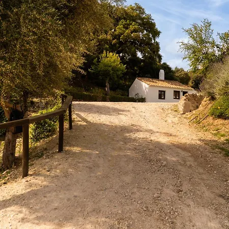 Santa Teresa, Casa Granada * エステポナ
